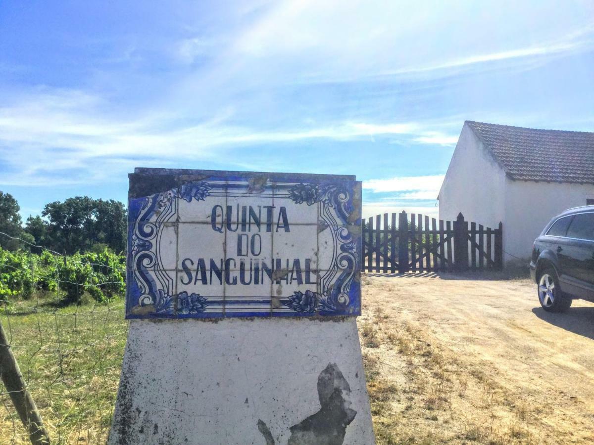 فيلا Quinta Do Sanguinhal ريو مايور المظهر الخارجي الصورة