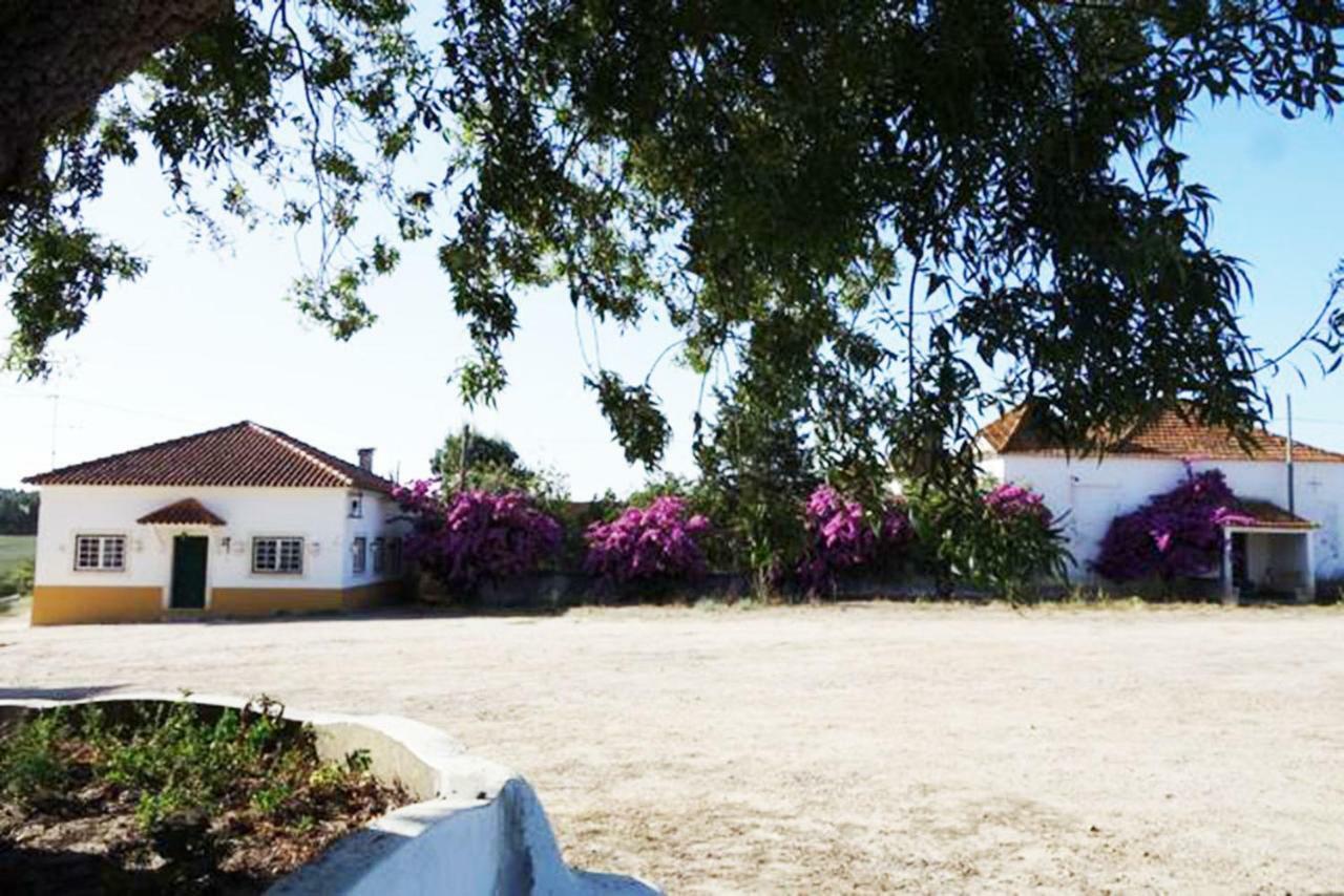 فيلا Quinta Do Sanguinhal ريو مايور المظهر الخارجي الصورة